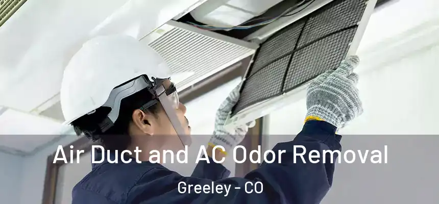 Air Duct and AC Odor Removal Greeley - CO
