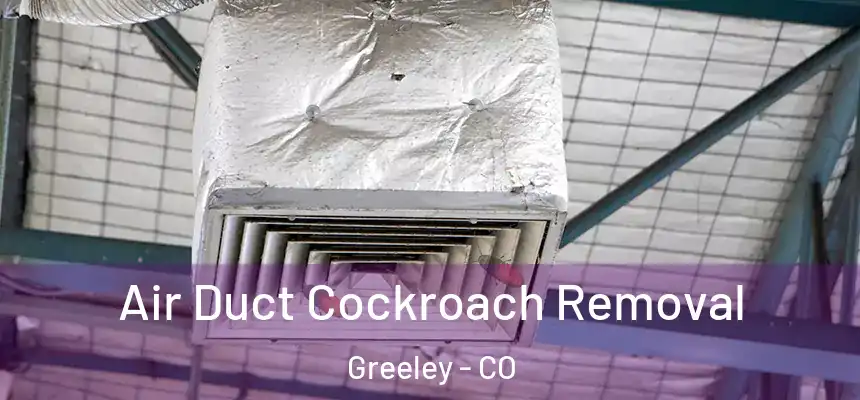 Air Duct Cockroach Removal Greeley - CO