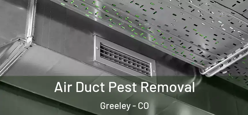 Air Duct Pest Removal Greeley - CO