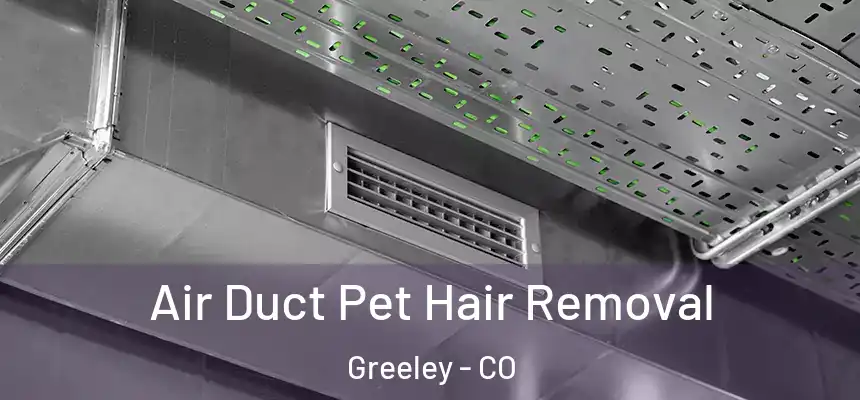 Air Duct Pet Hair Removal Greeley - CO