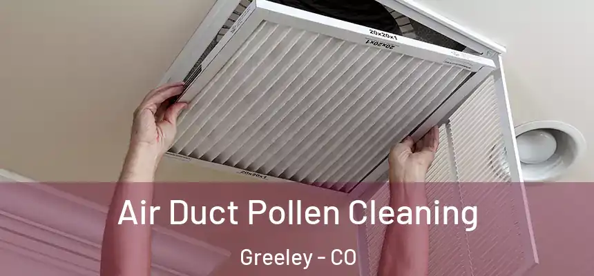 Air Duct Pollen Cleaning Greeley - CO