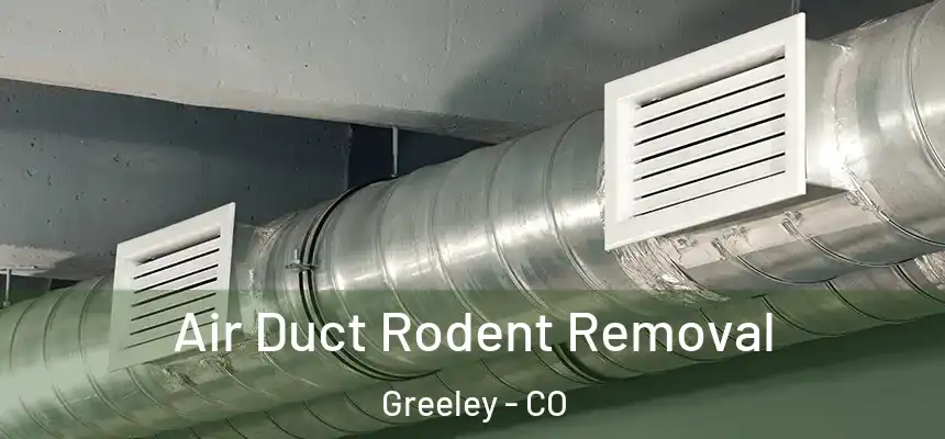 Air Duct Rodent Removal Greeley - CO