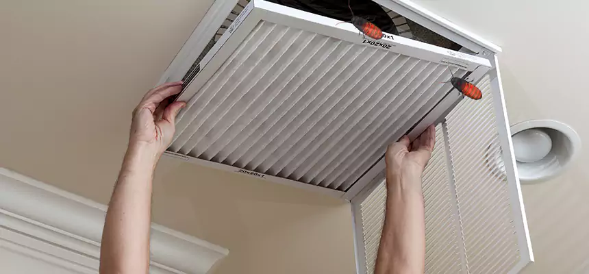 Preventive Cockroach-Proofing for Ducts in Greeley