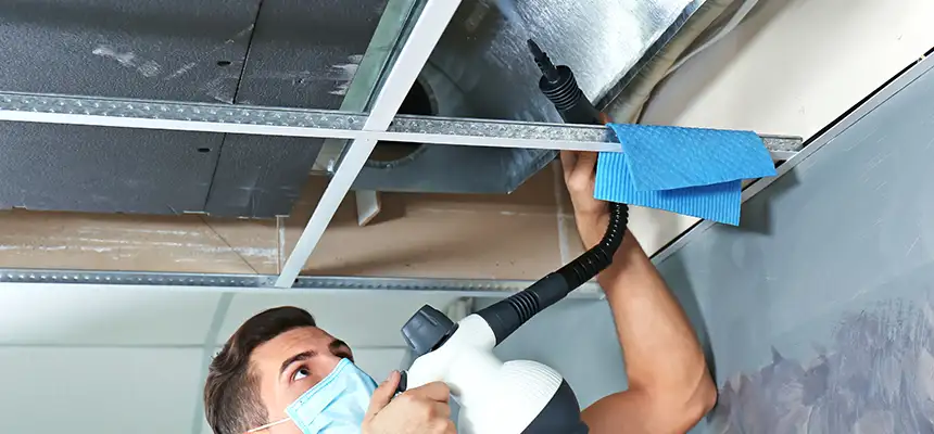Our Air Duct Rodent Removal Services in Greeley, CO