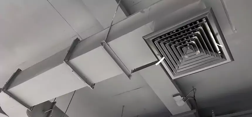 Restorative Allergy Relief Vent Cleaning – Coil, Blower & Housing Detail in Greeley