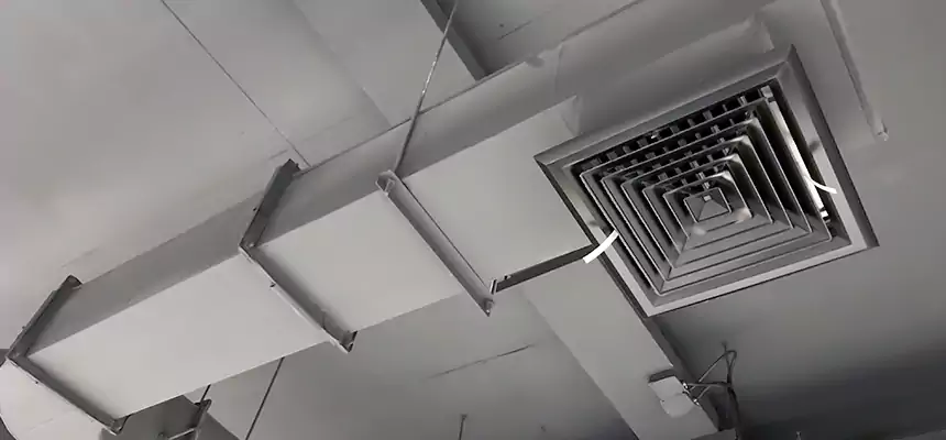 Our Pest Removal From Ducts Services in Greeley, CO