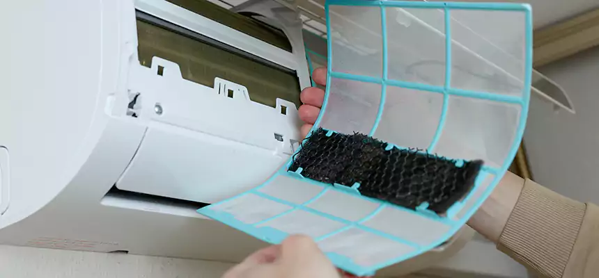 Gentle Ductwork Odor-Control Pet Dander Duct Cleaning in Greeley, CO