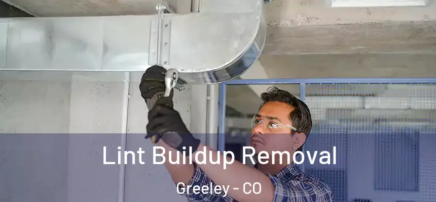 Lint Buildup Removal Greeley - CO