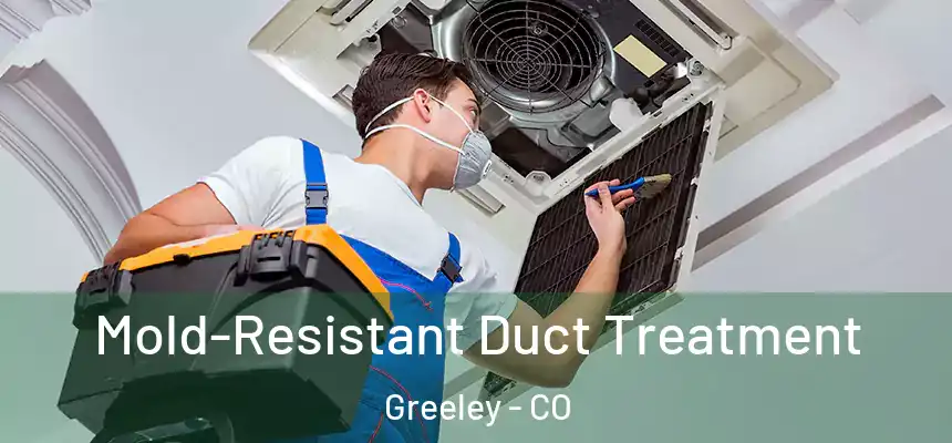 Mold-Resistant Duct Treatment Greeley - CO