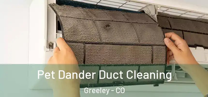 Pet Dander Duct Cleaning Greeley - CO