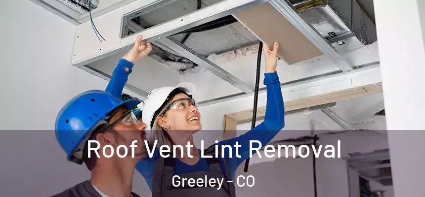  Roof Vent Lint Removal Greeley - CO