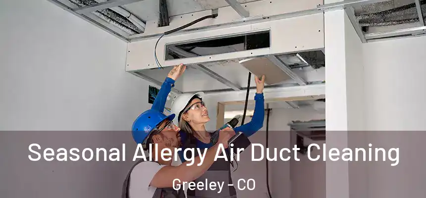 Seasonal Allergy Air Duct Cleaning Greeley - CO