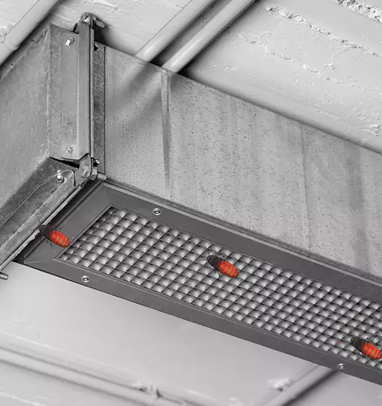 About Air Duct Cockroach Removal in Greeley, CO