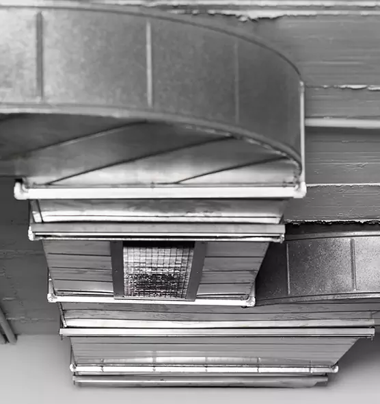 Professional Air Duct Pest Removal in Greeley, CO