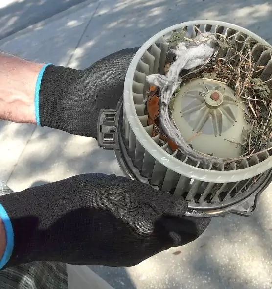 About Air Duct Rat Removal in Greeley, CO