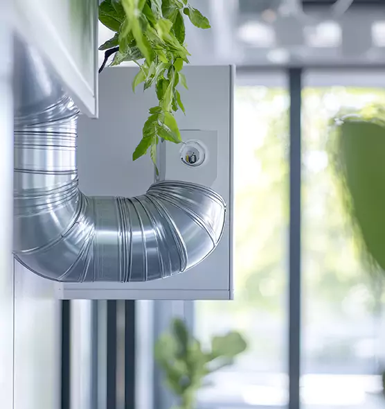 Professional Eco-Safe Dryer Vent Cleaning in Greeley, CO