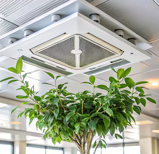 Why Homeowners & Businesses Trust Us in Greeley, CO?