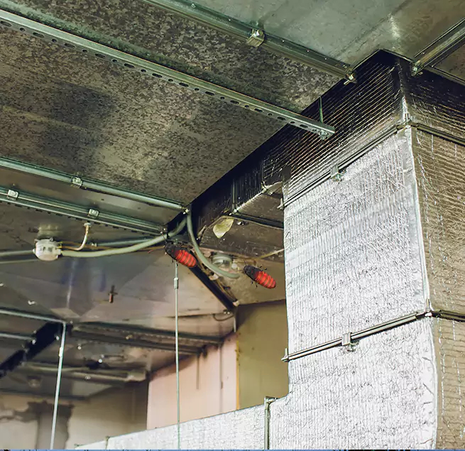 Why Homeowners & Businesses Trust Us Greeley, CO?