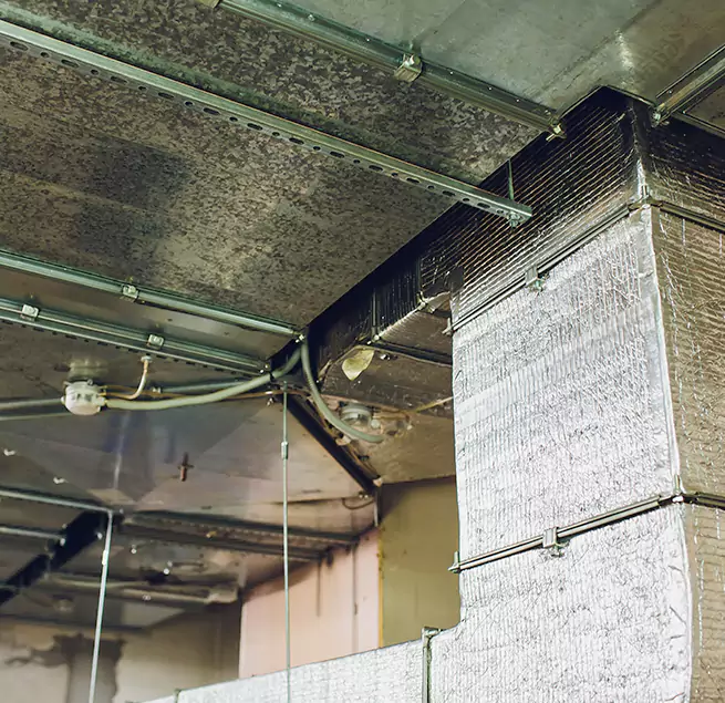 Why Homeowners & Businesses Trust Us in Greeley, CO?