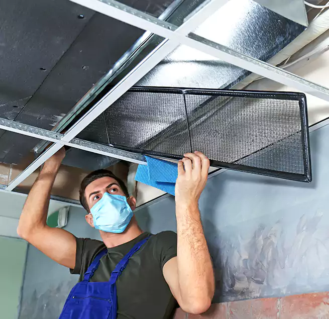 Why Homeowners Businesses Trust Us in Greeley, CO