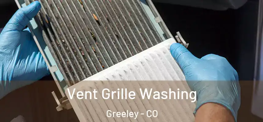 Vent Grille Washing Greeley - CO